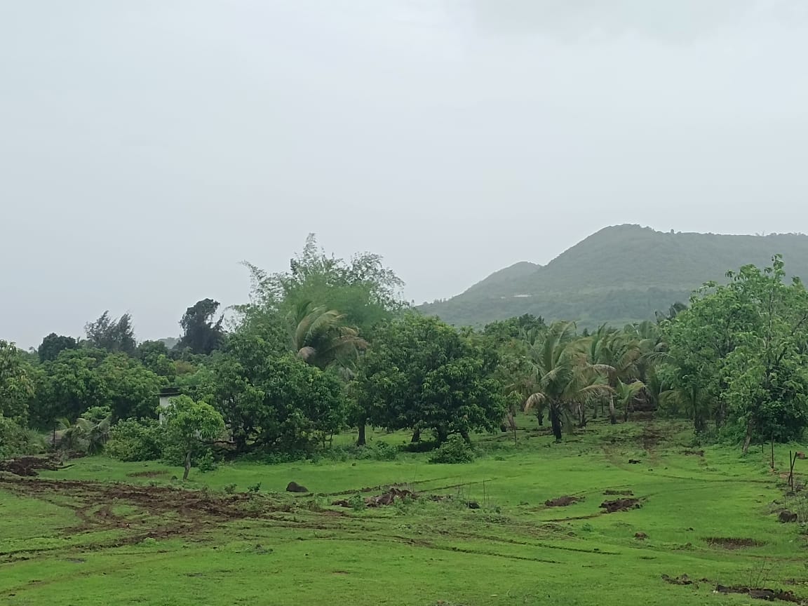 Alibaug Revdanda Kashid Coastal Highway